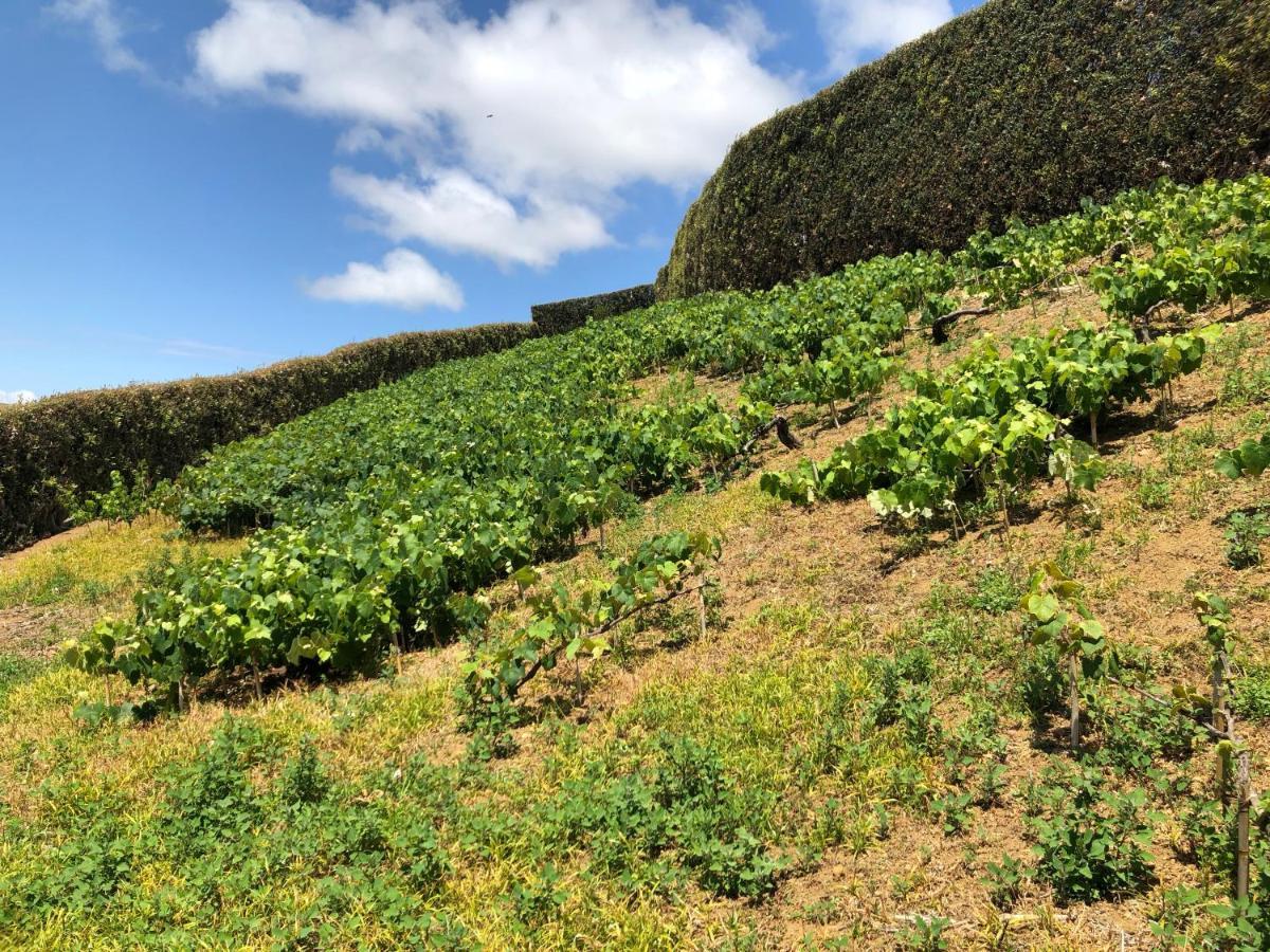 Quinta Do Pico Villa Ponta Delgada Kültér fotó